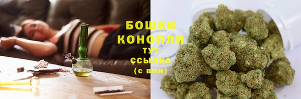 соль ск Абаза