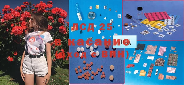 стаф Алзамай