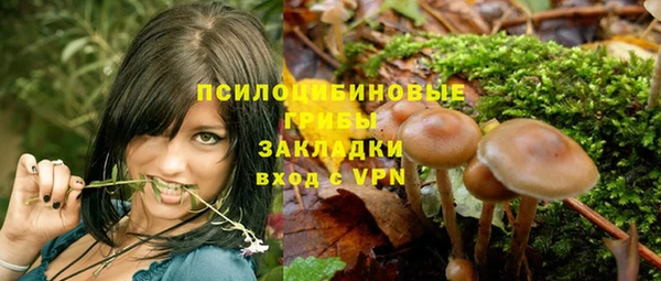 стаф Алзамай