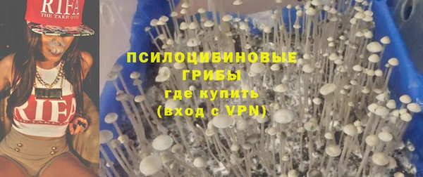 ешки Алексеевка