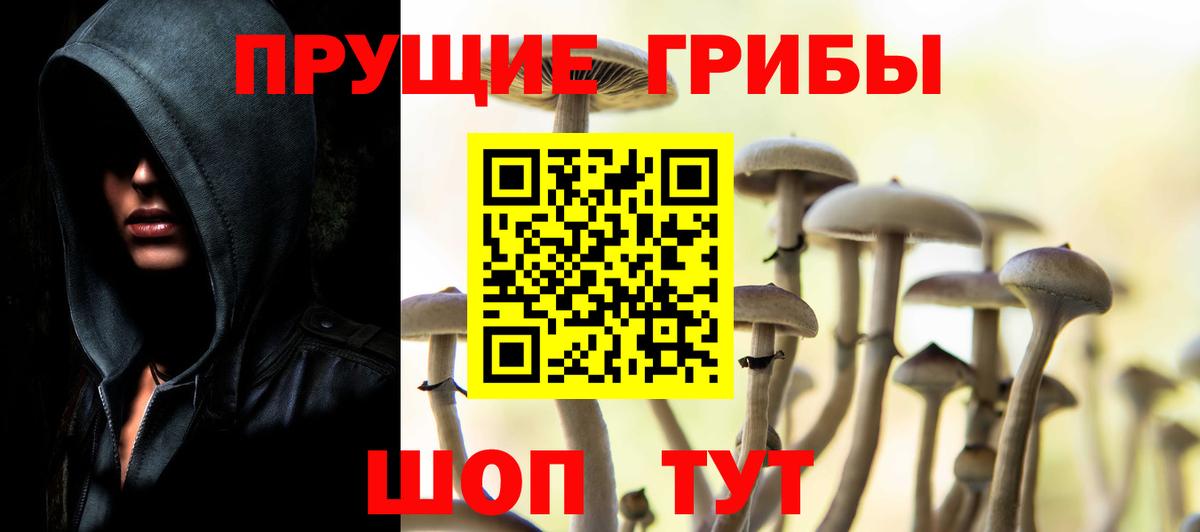 где купить наркоту  Псилоцибиновые грибы Psilocybe  Вход с VPN  Железноводск 