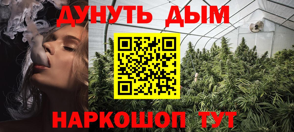 Бошки марихуана сатива Железноводск